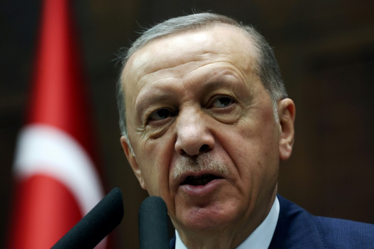  Erdogan warns Sweden on NATO after Quran burning