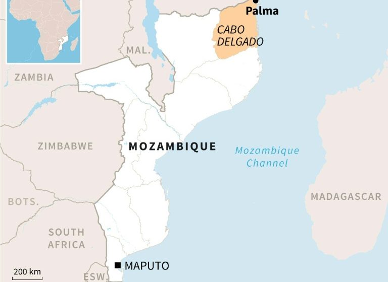  Total CEO expected in Mozambique after gas project halted