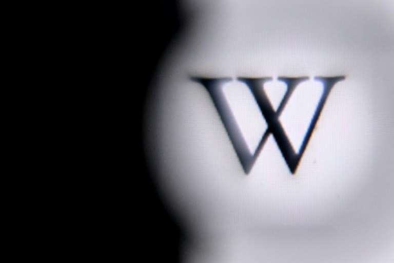  Pakistan PM orders Wikipedia website unblocked