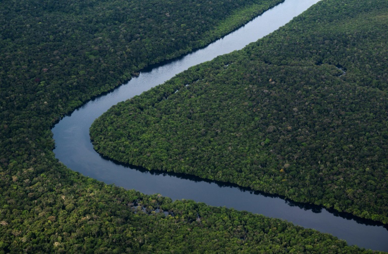  Brazil’s Amazon deforestation down 61% in January