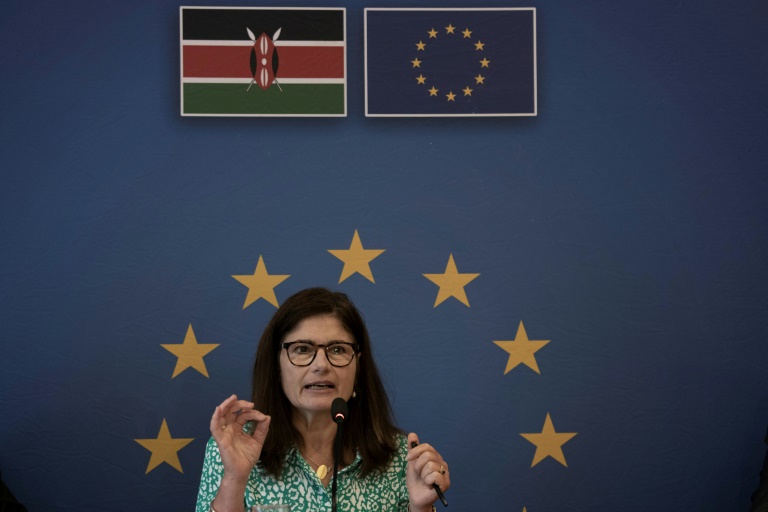  EU vows to boost investment in Kenya to strengthen ties