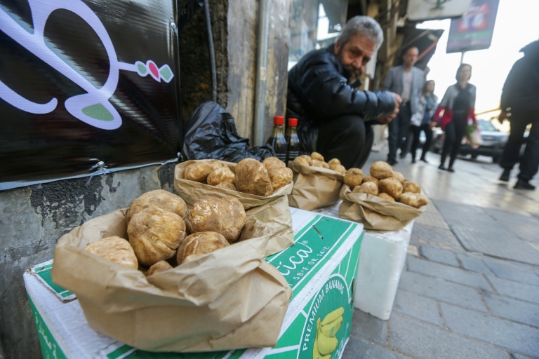  Eight truffle-hunters dead in Syria landmine blast: monitor