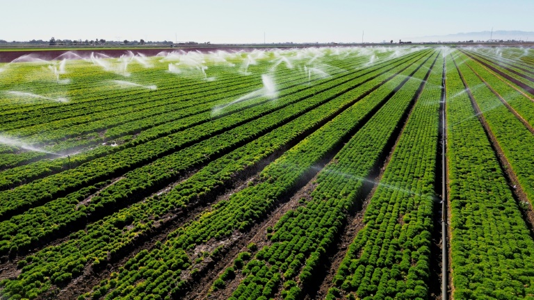  California’s desert farmers defend their river rights