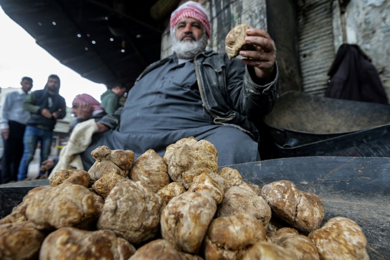  Islamic State group kills 15 truffle hunters in Syria