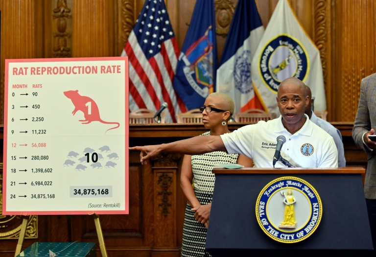  New York appoints first-ever rat ‘czar’