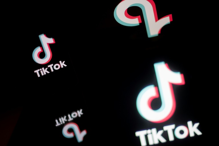  TikTok faces ban in Montana as US backlash continues