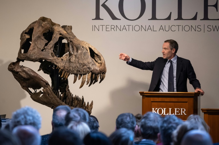  Trinity the T-rex claws in more than $6 million