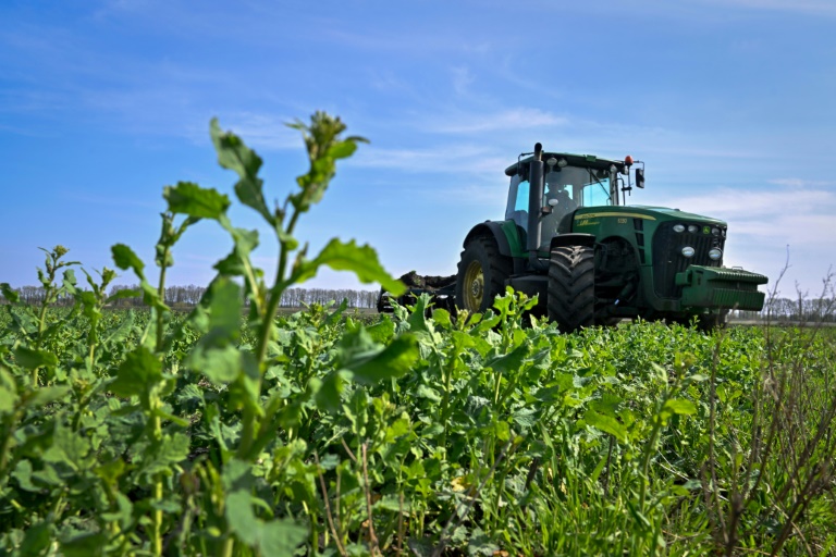  EU pledges more cash in Ukraine grain standoff, Bulgaria bans imports