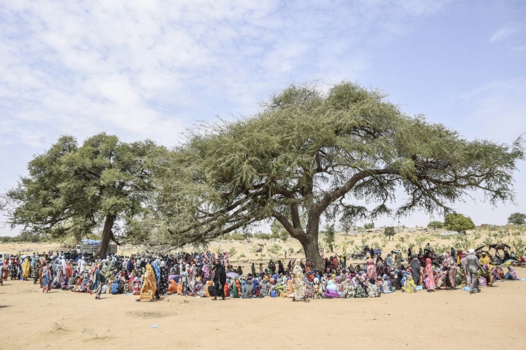  Thousands of Sudanese make perilous trek to safety in Chad