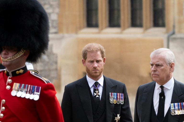  Princes Harry, Andrew out in the cold at coronation