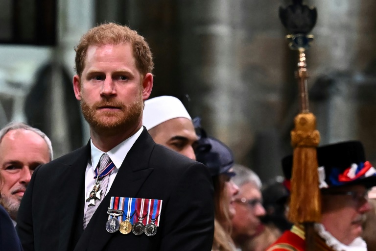  Prince Harry loses bid to challenge UK govt over security