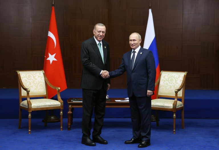  Ukraine, Syria, NATO: why the Kremlin needs Erdogan to win