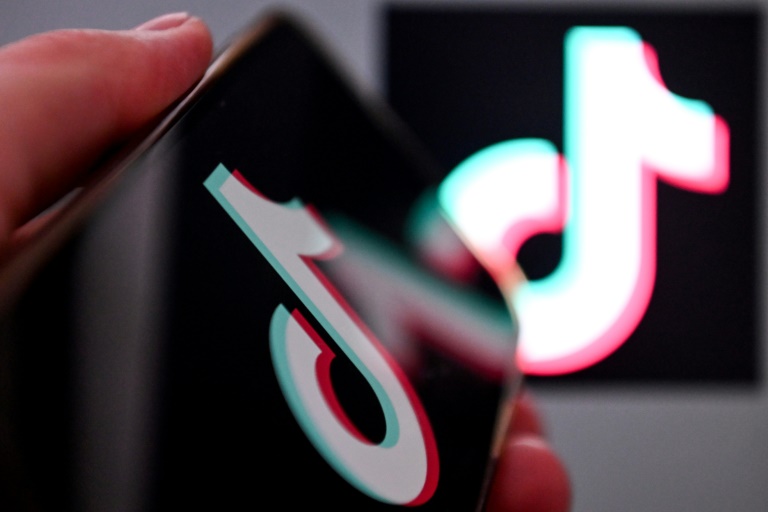  French MPs urge TikTok ban ultimatum