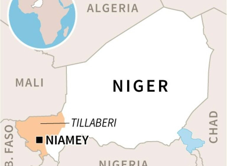  Two IS jihadists arrested in Niger joint operation: security source