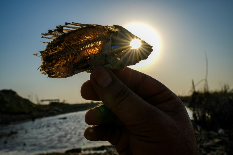  Record heatwaves sweep the world, from Iraq to US and Europe