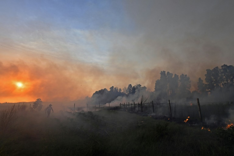  Algeria fires fanned by winds, extreme heat kill 34