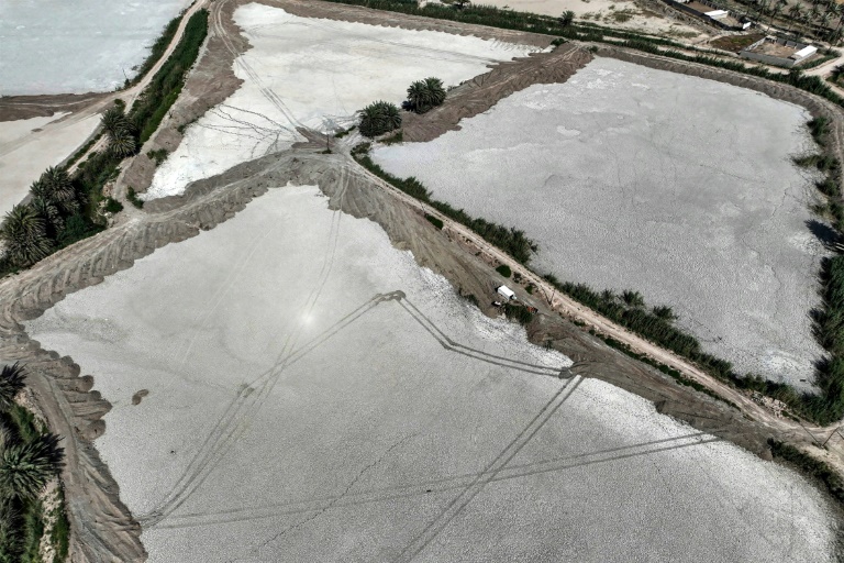  Iraqi fish farms drying up due to water crisis