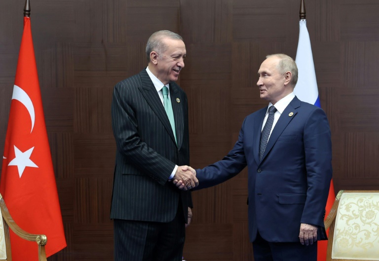  Erdogan to push Putin on grain deal in Russia