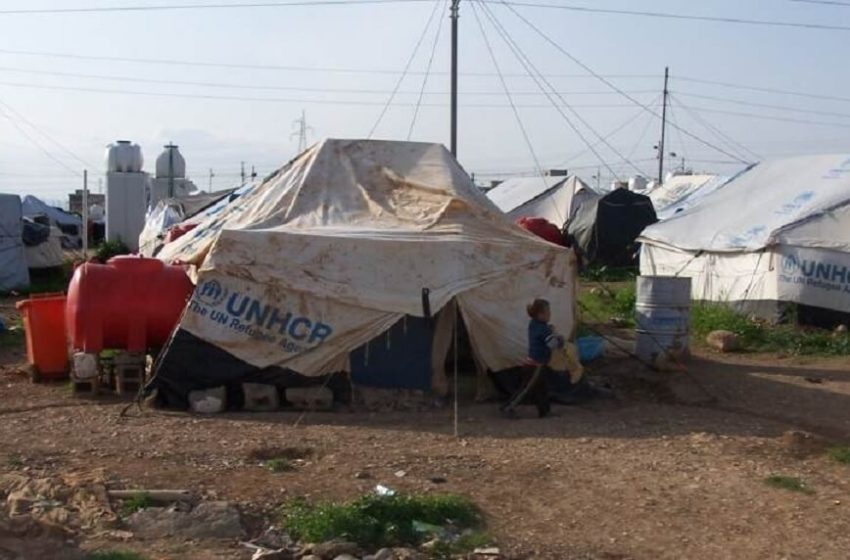  293 displaced Yazidis return to Sinjar