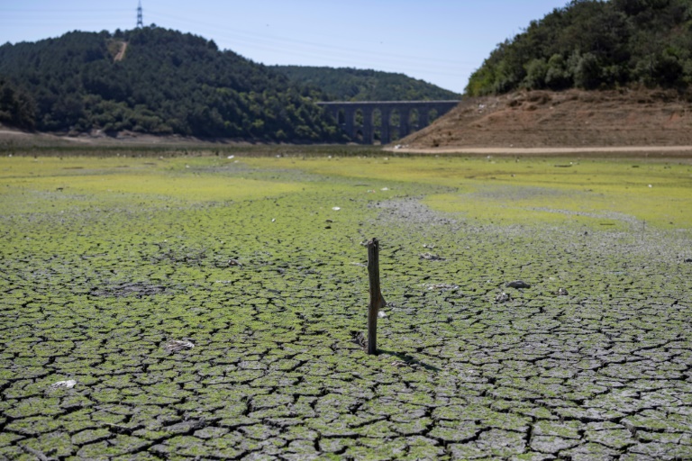  ‘Bad days await’: Istanbul dams run low in summer heat