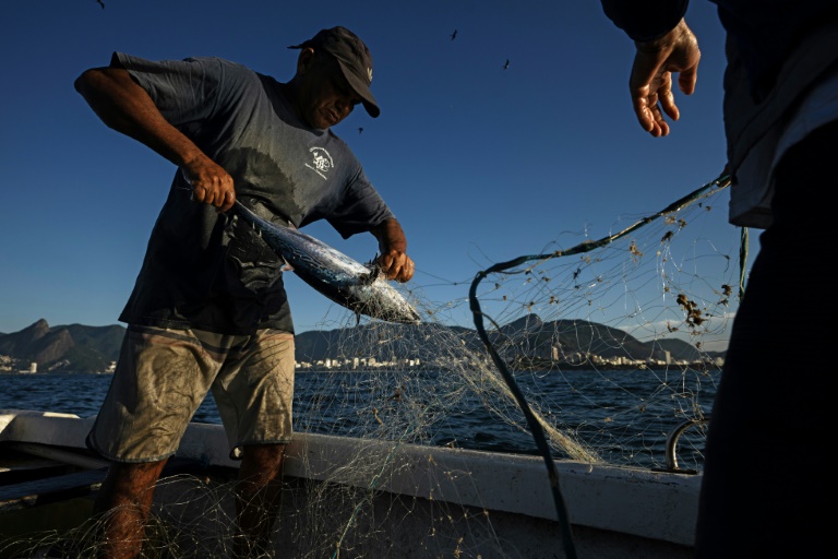  Brazil economy slows, but beats forecasts again in Q2