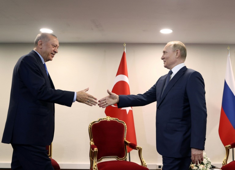  Erdogan takes grain diplomacy to Putin in Sochi