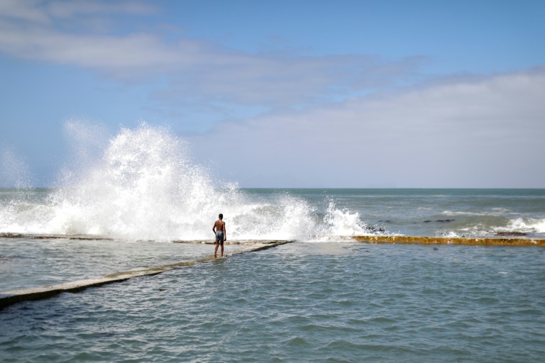  High seas treaty moves closer to reality with first signatures