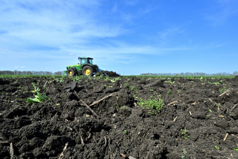  Polish farmers warn of EU threat from Ukraine grain