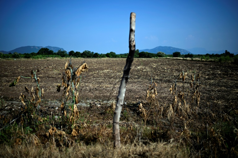  ‘They put a price on everything’: extortion hits Mexican economy