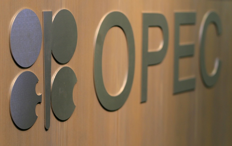  OPEC+ maintains output reduction to boost oil prices