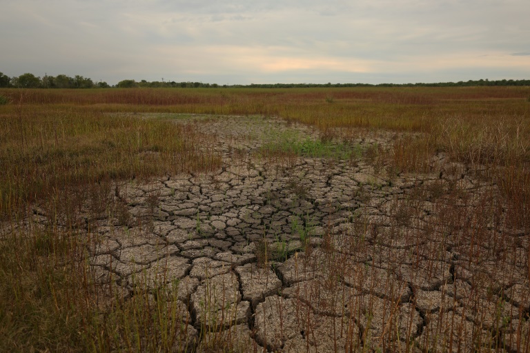  Disasters cause $3.8 tn in crop loses over 30 years: FAO