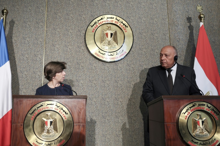  Egypt, France foreign ministers urge aid to Gaza through Rafah