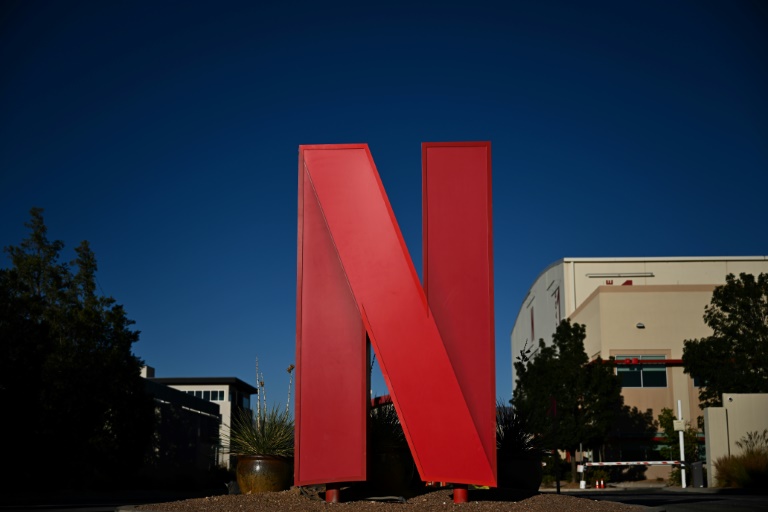  Netflix gains subscribers with ads and password crackdown