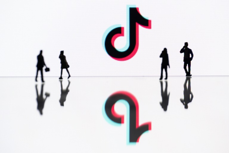  TikTok removed 4mn ‘violative’ videos in EU last month