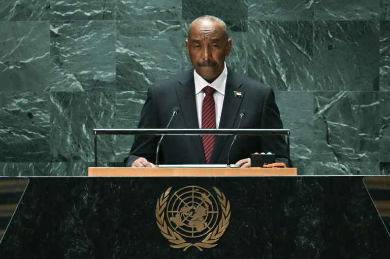  UN Security Council puts end to mission in Sudan