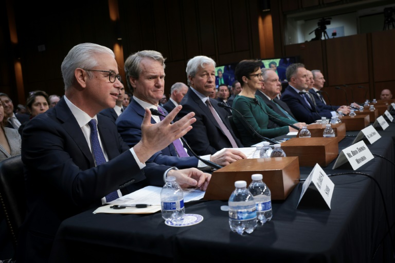  Big US banks balk at new capital rules in Senate hearing