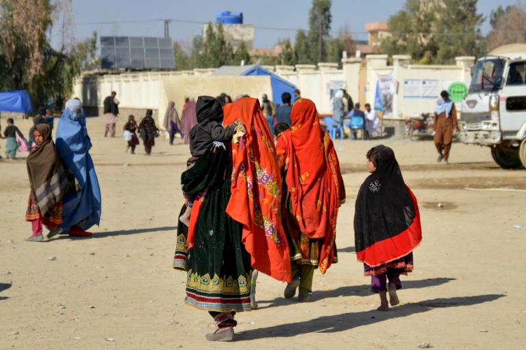  Half a million Afghans return from Pakistan: IOM