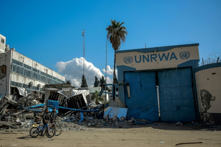  Gaza: Looting halts UN aid amid warnings over trapped patients