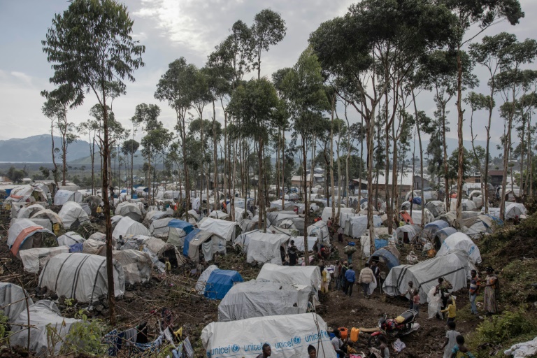  Red Cross warns of ‘immense crisis’ in DR Congo