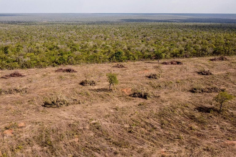  Report links H&M, Zara to environmental destruction in Brazil