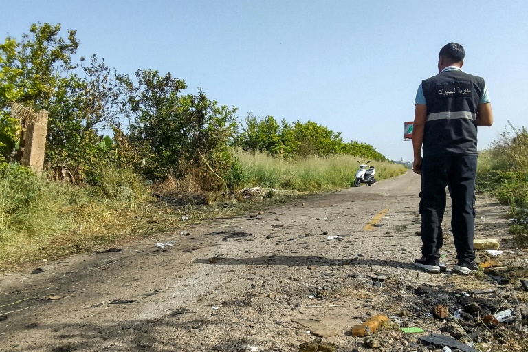  Two Hezbollah members killed in Israeli strikes