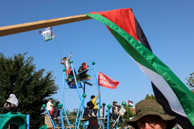  Pro-Palestine DNC delegates welcome Biden’s exit but side-eye Harris